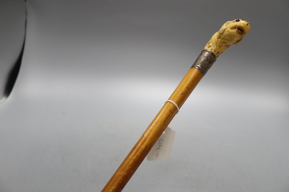 A Victorian ivory hounds head handle walking cane